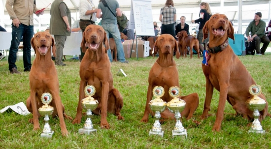 Aston z rodinkou na MS v Salzburgu