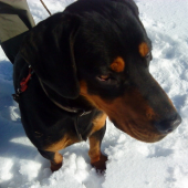 Dany :)