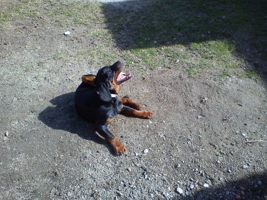 to ale muselo svrbieť