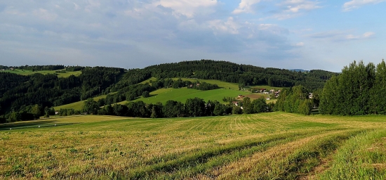 JIZERKY
