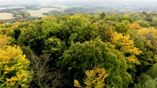 PODZIM Z PTAČÍ PERSPEKTÍVY