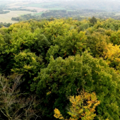 PODZIM Z PTAČÍ PERSPEKTÍVY