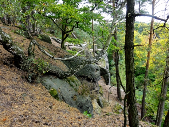 STŘÍDÁNÍ ROČNÍCH OBDOBÍ.