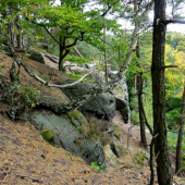 STŘÍDÁNÍ ROČNÍCH OBDOBÍ.