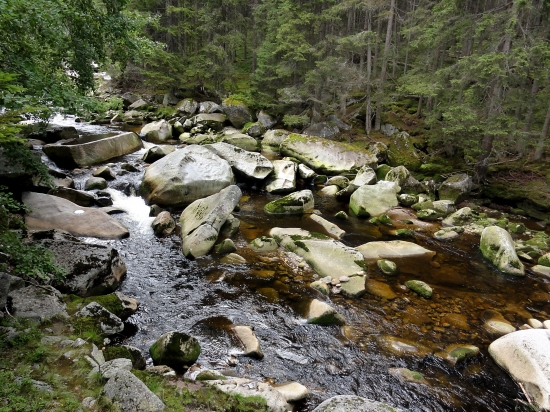 ŠUMAVA - ŘÍČKA VYDRA