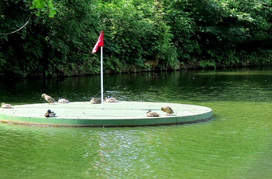 NA GREENU