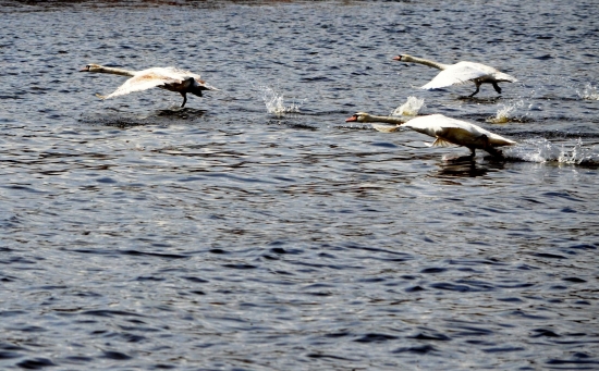 TÁHNI ODKUD JSI PŘILETĚL