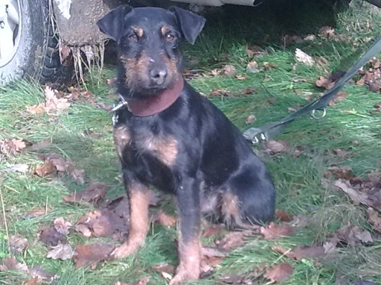 Hesy Zelený diamant