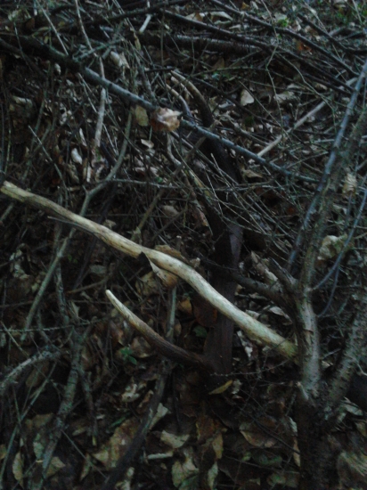 PRVY POHLAD JE VZDY NAJKRAJSI