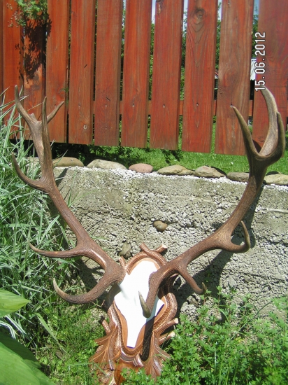 posledny vysledok majstra rezbara