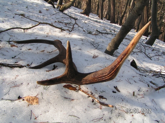 super dalši do zbierky