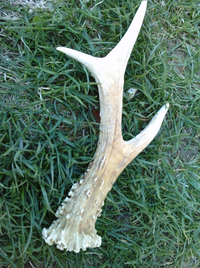 PRVY POHLAD JE VZDY NAJKRAJSI