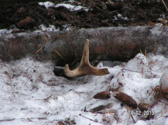 PRVY POHLAD JE VZDY NAJKRAJSI