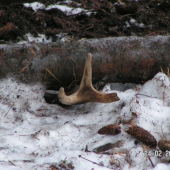 PRVY POHLAD JE VZDY NAJKRAJSI