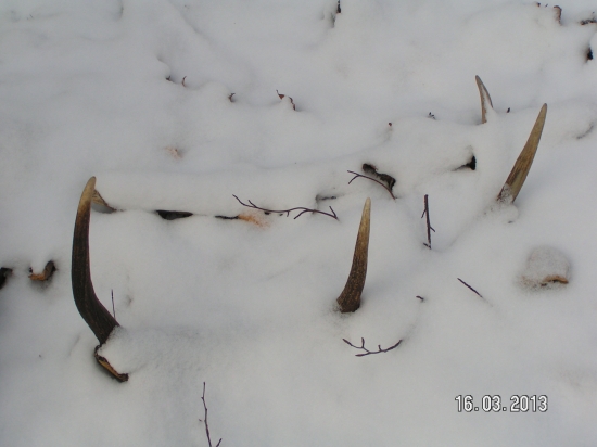 PRVY POHLAD JE VZDY NAJKRAJSI