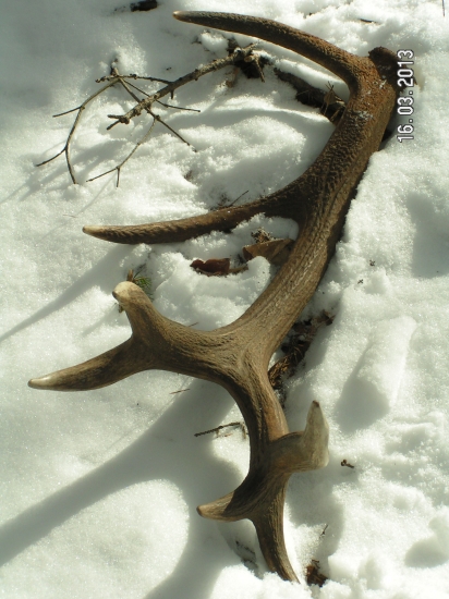 PRVY POHLAD JE VZDY NAJKRAJSI