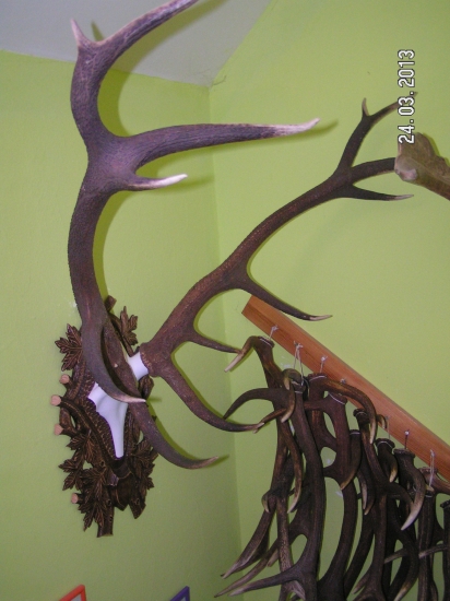 na svojom mieste 2013