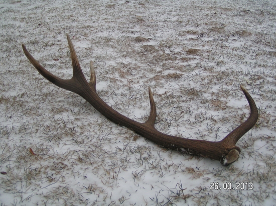 10torak našielho kamarat
