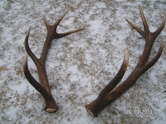 a už su pekne spolu