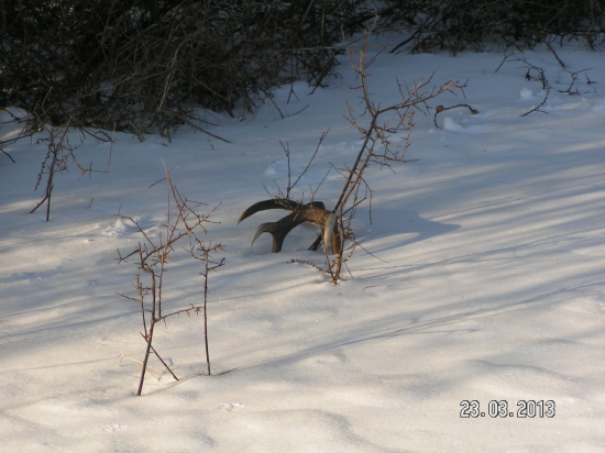 PRVY POHLAD JE VZDY NAJKRAJSI