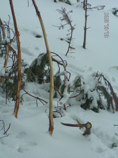 PRVY POHLAD JE VZDY NAJKRAJSI