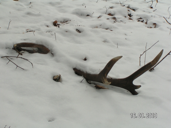 Zasnežena kostička