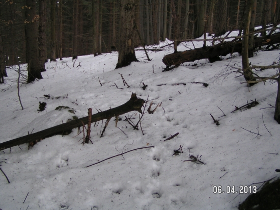 PRVY POHLAD JE VZDY NAJKRAJSI