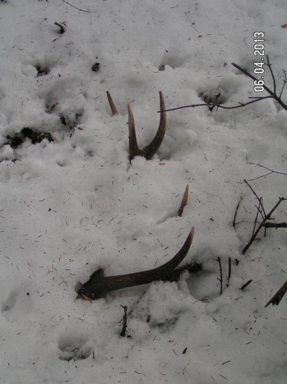 PRVY POHLAD JE VZDY NAJKRAJSI