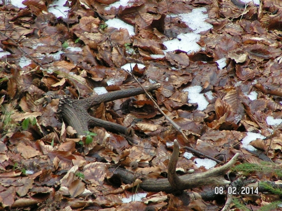 PRVY POHLAD JE VZDY NAJKRAJSI