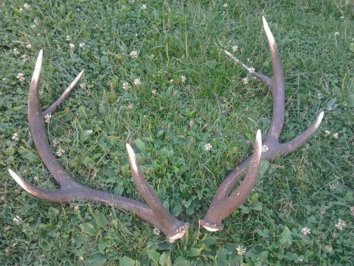 A už su spolu bračekovia