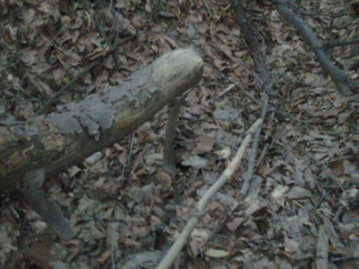 PRVY POHLAD JE VZDY NAJKRAJSI