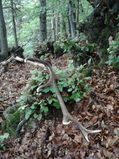 A takto si ma čakal