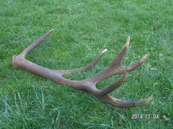 A už sa našiel fešak