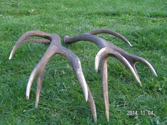 a už su pekne spolu