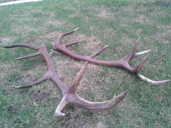 A už su pekne spolu