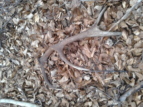 PRVY POHLAD JE VZDY NAJKRAJSI