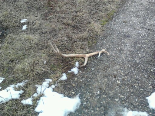 Prvý pohlad :D na ceste