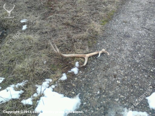 Prvý pohlad :D na ceste