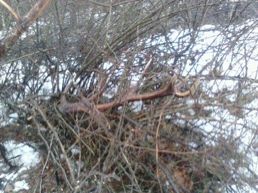 12 orák . Prvý pohlad :))