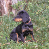 moja malá