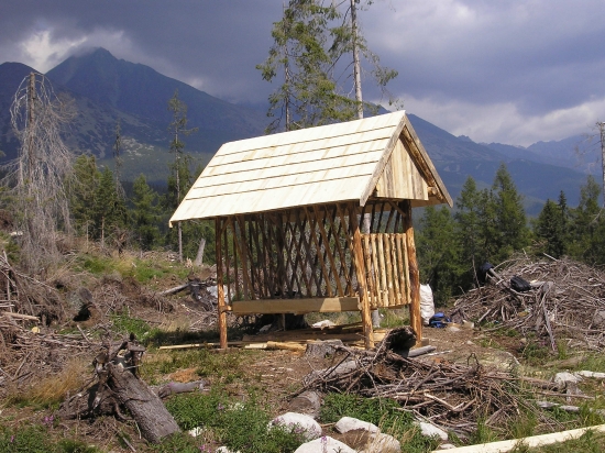 aj urobiť sa niečo patrí