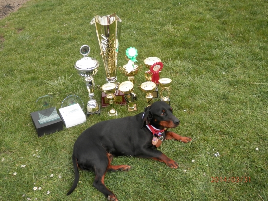 CHS HYBSKÁ TIESŇAVA -  SELI spod Kunovej