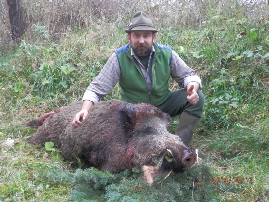 Kanec z októbrového splnu