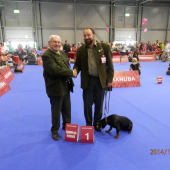 EuropeanDogshow BRNO 2014 za účasti slovenských kopovov