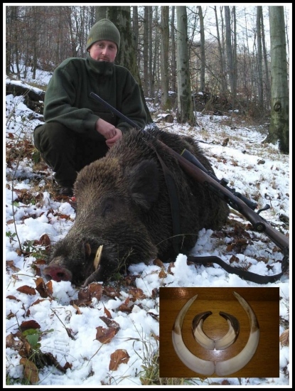 Kamarátove zlaté prasiatko