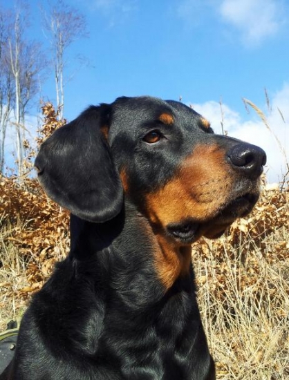 moje oci,usi,nostek.....