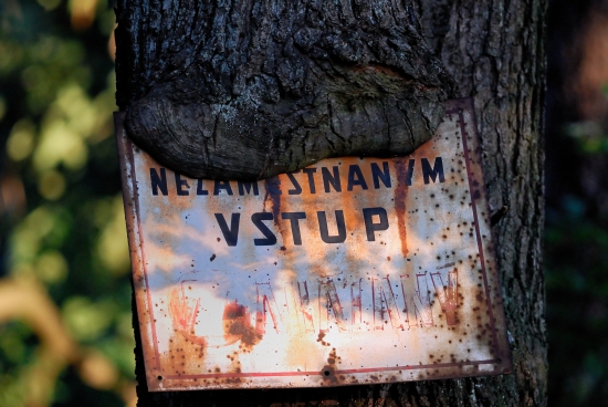 strážca lesa
