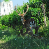 ako nám chutí  hrozno