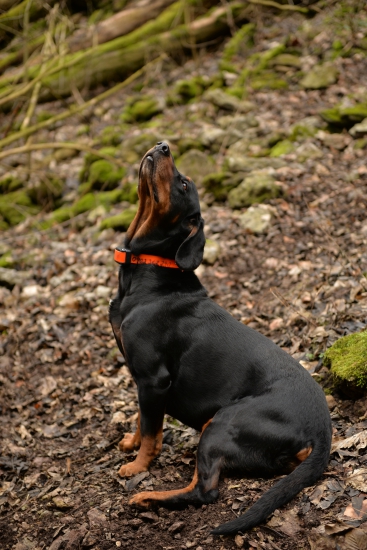 óó čo tu cítim....