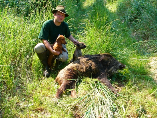 Dohledávka- dosled lončáka cca 700m